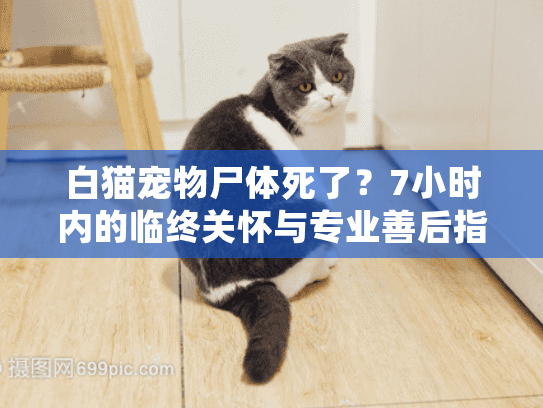 白猫宠物尸体死了？7小时内的临终关怀与专业善后指南