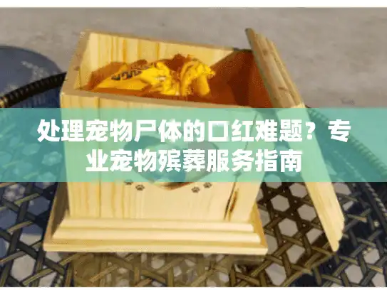 处理宠物尸体的口红难题？专业宠物殡葬服务指南