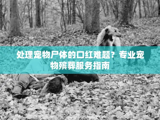处理宠物尸体的口红难题？专业宠物殡葬服务指南