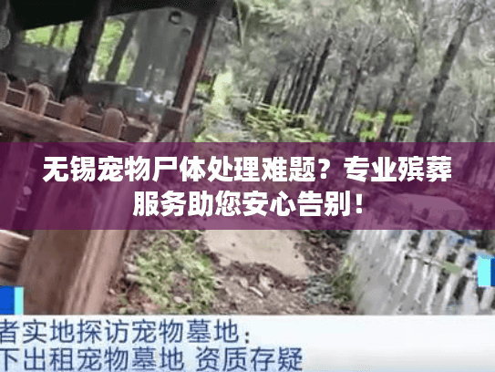 无锡宠物尸体处理难题？专业殡葬服务助您安心告别！