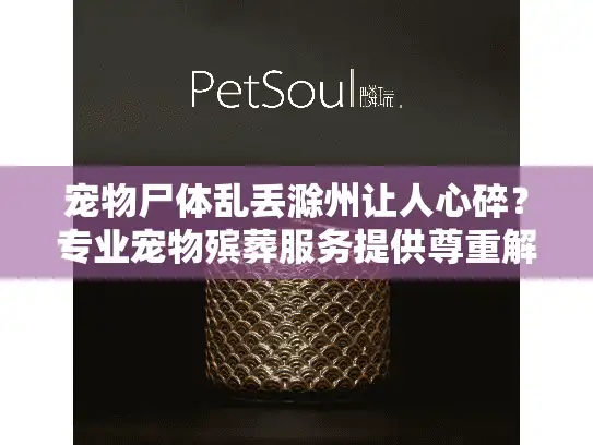 宠物尸体乱丢滁州让人心碎？专业宠物殡葬服务提供尊重解决方案