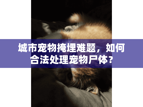 城市宠物掩埋难题，如何合法处理宠物尸体？