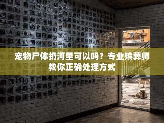 宠物尸体扔河里可以吗？专业殡葬师教你正确处理方式