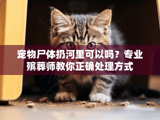 宠物尸体扔河里可以吗？专业殡葬师教你正确处理方式
