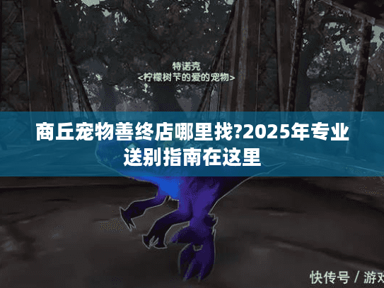 商丘宠物善终店哪里找?2025年专业送别指南在这里