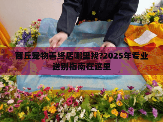 商丘宠物善终店哪里找?2025年专业送别指南在这里