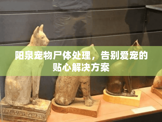 阳泉宠物尸体处理，告别爱宠的贴心解决方案