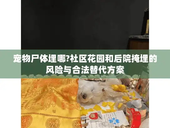 宠物尸体埋哪?社区花园和后院掩埋的风险与合法替代方案 宠物尸体埋哪?社区花园和后院掩埋的风险与合法替代方案
