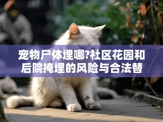 宠物尸体埋哪?社区花园和后院掩埋的风险与合法替代方案 宠物尸体埋哪?社区花园和后院掩埋的风险与合法替代方案