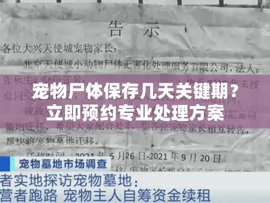 宠物尸体保存几天关键期?立即预约专业处理方案 宠物尸体保存几天关键期?立即预约专业处理方案