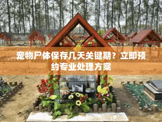 宠物尸体保存几天关键期?立即预约专业处理方案 宠物尸体保存几天关键期?立即预约专业处理方案