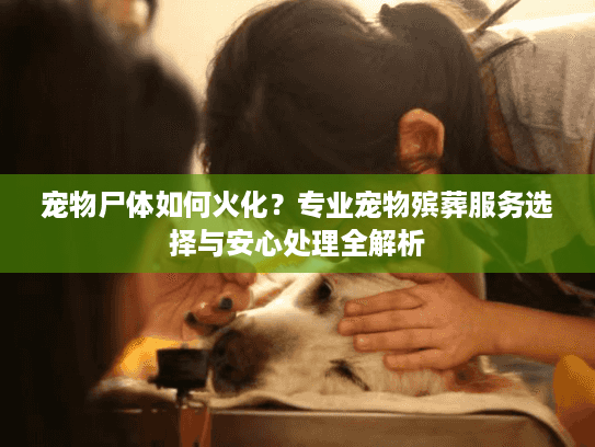 宠物尸体如何火化？专业宠物殡葬服务选择与安心处理全解析