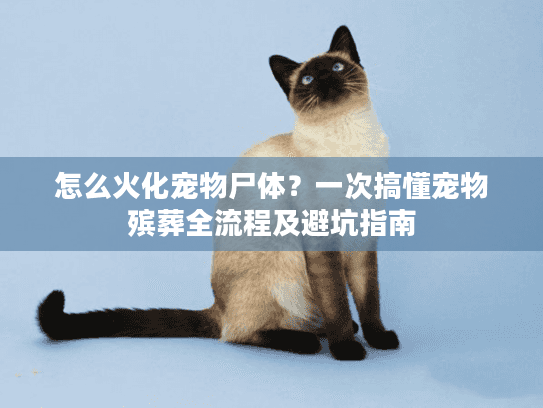 怎么火化宠物尸体？一次搞懂宠物殡葬全流程及避坑指南