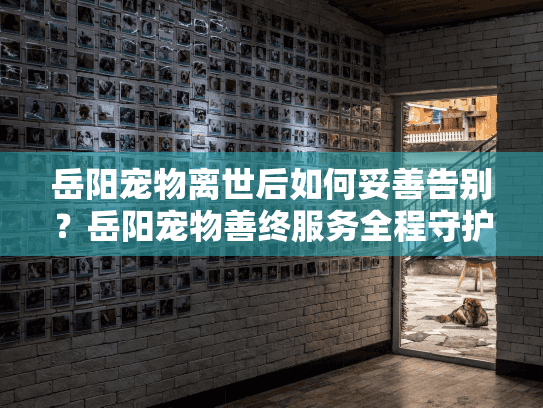 岳阳宠物离世后如何妥善告别？岳阳宠物善终服务全程守护指南