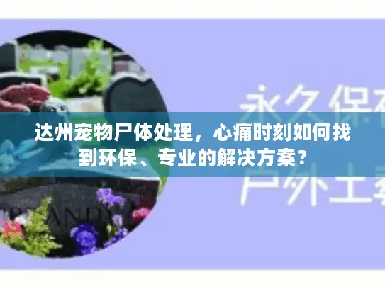 达州宠物尸体处理,心痛时刻如何找到环保、专业的解决方案? 达州宠物尸体处理,心痛时刻如何找到环保、专业的解决方案?