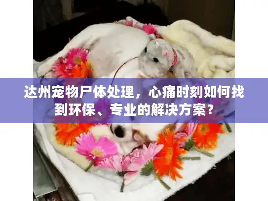 达州宠物尸体处理,心痛时刻如何找到环保、专业的解决方案? 达州宠物尸体处理,心痛时刻如何找到环保、专业的解决方案?