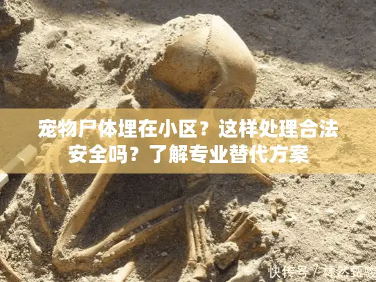 宠物尸体埋在小区？这样处理合法安全吗？了解专业替代方案