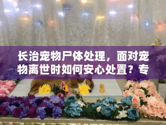 长治宠物尸体处理，面对宠物离世时如何安心处置？专业指南助您
