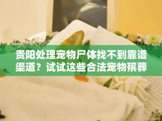 贵阳处理宠物尸体找不到靠谱渠道?试试这些合法宠物殡葬服务方案 贵阳处理宠物尸体找不到靠谱渠道?试试这些合法宠物殡葬服务方案