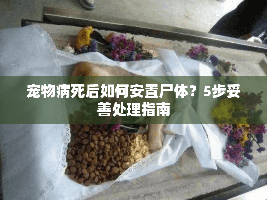 宠物病死后如何安置尸体?5步妥善处理指南 宠物病死后如何安置尸体?5步妥善处理指南