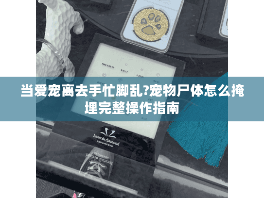 当爱宠离去手忙脚乱?宠物尸体怎么掩埋完整操作指南 当爱宠离去手忙脚乱?宠物尸体怎么掩埋完整操作指南