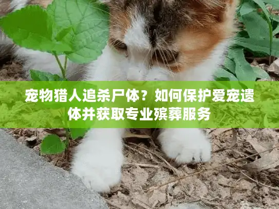 宠物猎人追杀尸体?如何保护爱宠遗体并获取专业殡葬服务 宠物猎人追杀尸体?如何保护爱宠遗体并获取专业殡葬服务