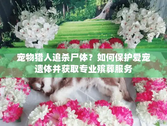 宠物猎人追杀尸体?如何保护爱宠遗体并获取专业殡葬服务 宠物猎人追杀尸体?如何保护爱宠遗体并获取专业殡葬服务
