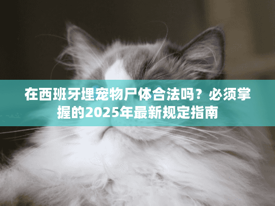 在西班牙埋宠物尸体合法吗？必须掌握的2025年最新规定指南