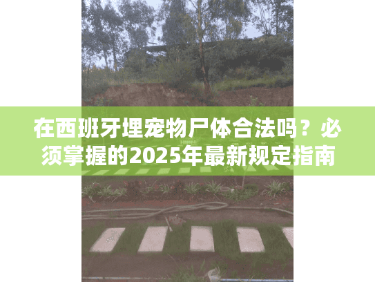 在西班牙埋宠物尸体合法吗？必须掌握的2025年最新规定指南