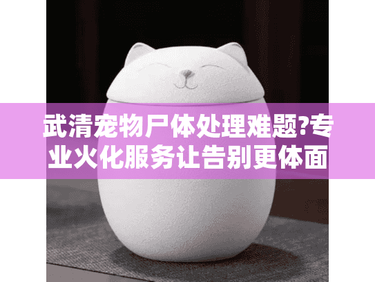 武清宠物尸体处理难题?专业火化服务让告别更体面