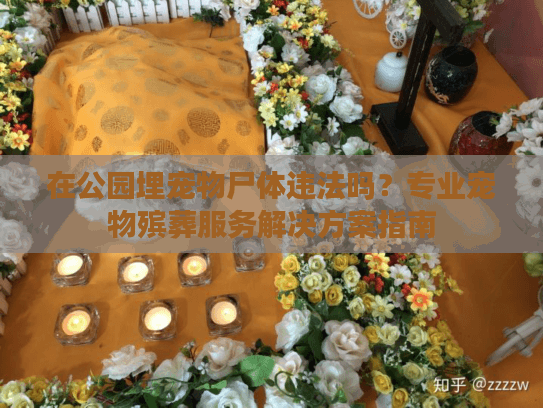 在公园埋宠物尸体违法吗？专业宠物殡葬服务解决方案指南