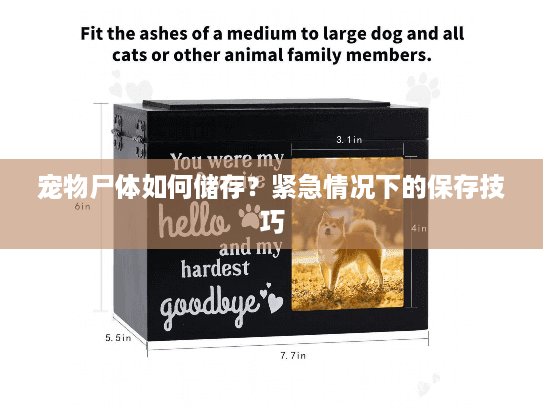 宠物尸体如何储存？紧急情况下的保存技巧