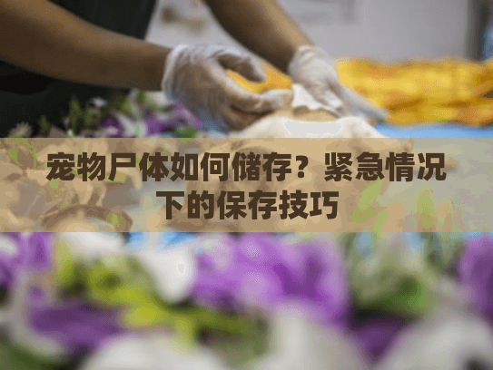 宠物尸体如何储存？紧急情况下的保存技巧