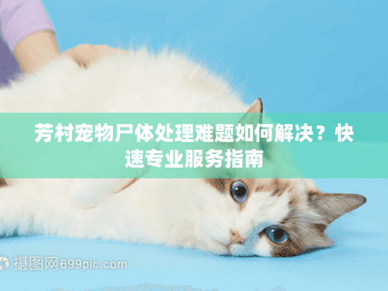 芳村宠物尸体处理难题如何解决？快速专业服务指南