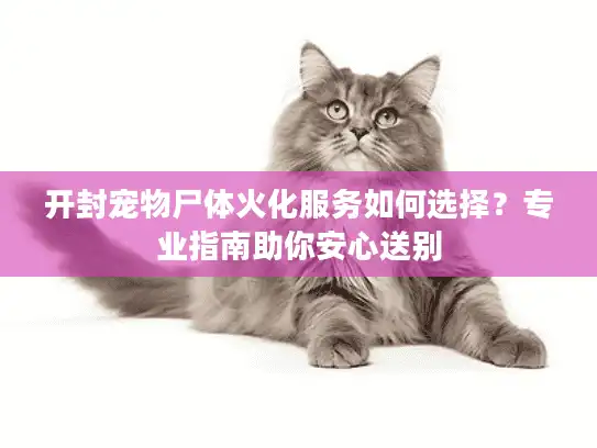 开封宠物尸体火化服务如何选择？专业指南助你安心送别