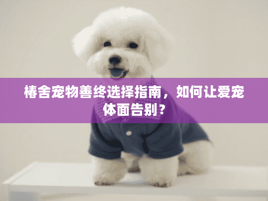 椿舍宠物善终选择指南,如何让爱宠体面告别? 椿舍宠物善终选择指南,如何让爱宠体面告别?