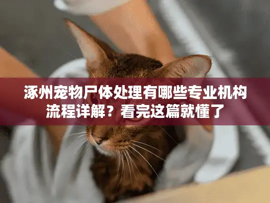 涿州宠物尸体处理有哪些专业机构流程详解？看完这篇就懂了