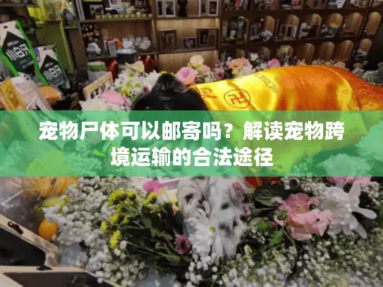 宠物尸体可以邮寄吗？解读宠物跨境运输的合法途径