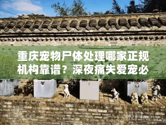 重庆宠物尸体处理哪家正规机构靠谱?深夜痛失爱宠必看指南 重庆宠物尸体处理哪家正规机构靠谱?深夜痛失爱宠必看指南