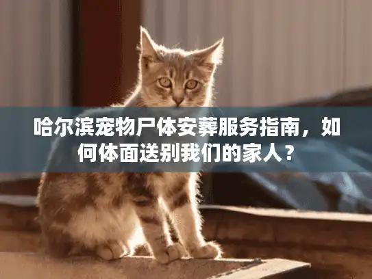 哈尔滨宠物尸体安葬服务指南，如何体面送别我们的家人？