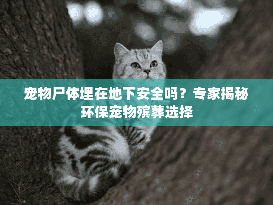 宠物尸体埋在地下安全吗？专家揭秘环保宠物殡葬选择