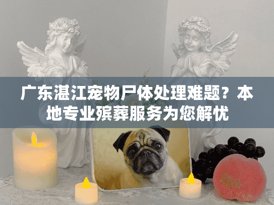 广东湛江宠物尸体处理难题？本地专业殡葬服务为您解忧