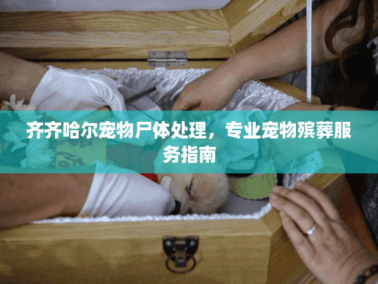 齐齐哈尔宠物尸体处理，专业宠物殡葬服务指南