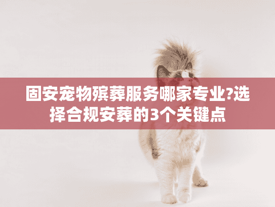 固安宠物殡葬服务哪家专业?选择合规安葬的3个关键点