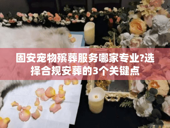 固安宠物殡葬服务哪家专业?选择合规安葬的3个关键点