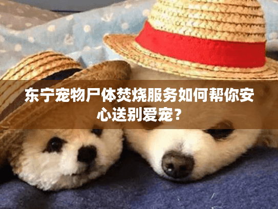 东宁宠物尸体焚烧服务如何帮你安心送别爱宠? 东宁宠物尸体焚烧服务如何帮你安心送别爱宠?