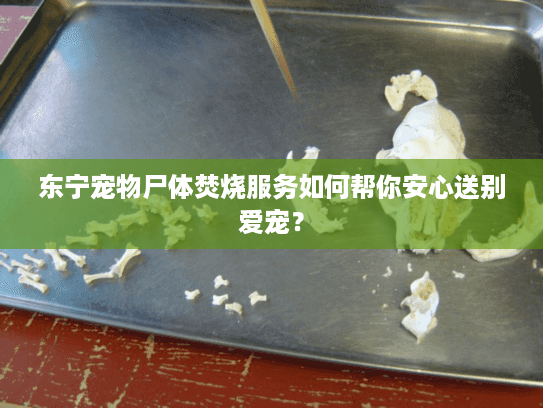 东宁宠物尸体焚烧服务如何帮你安心送别爱宠? 东宁宠物尸体焚烧服务如何帮你安心送别爱宠?