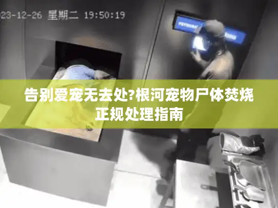 告别爱宠无去处?根河宠物尸体焚烧正规处理指南