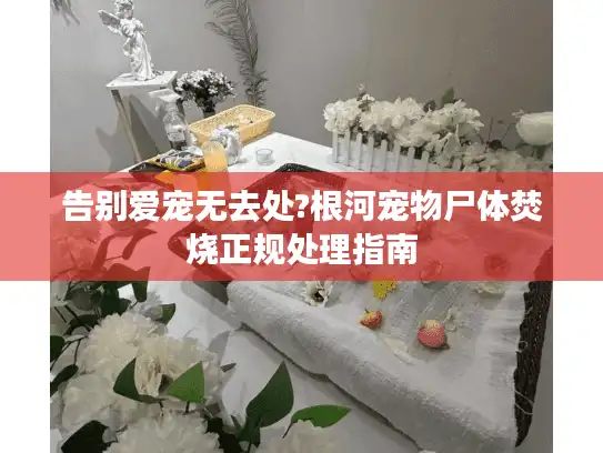 告别爱宠无去处?根河宠物尸体焚烧正规处理指南