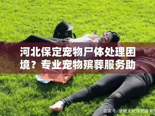 河北保定宠物尸体处理困境？专业宠物殡葬服务助您安心